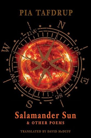 Salamander Sun and Other Poems