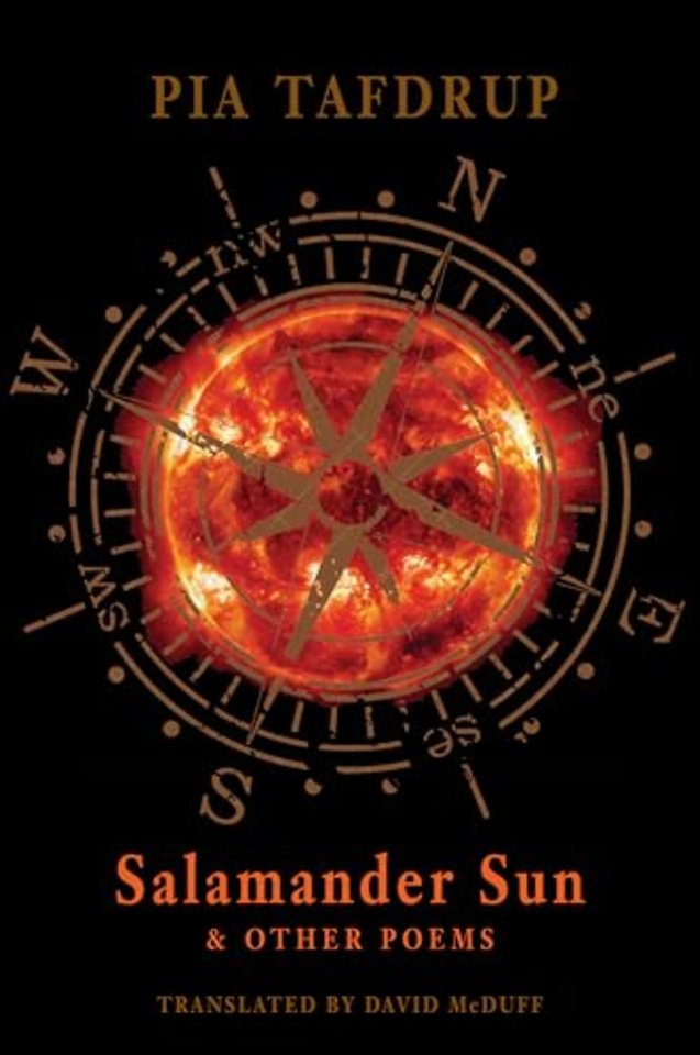 Salamander Sun and Other Poems