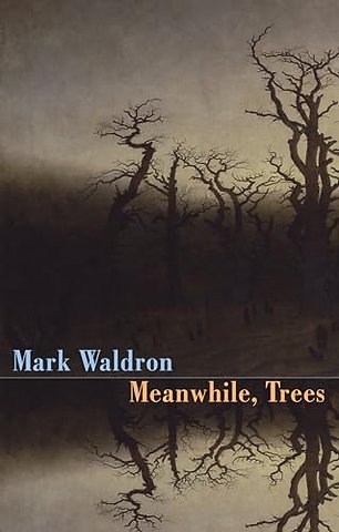 Meanwhile, Trees