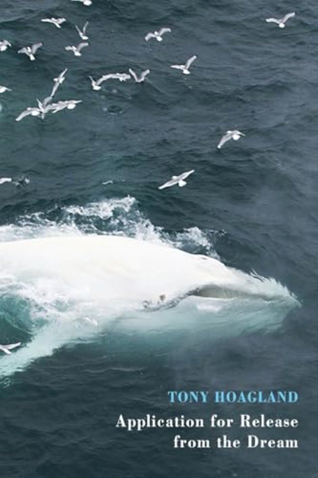 Application for Release from the Dream