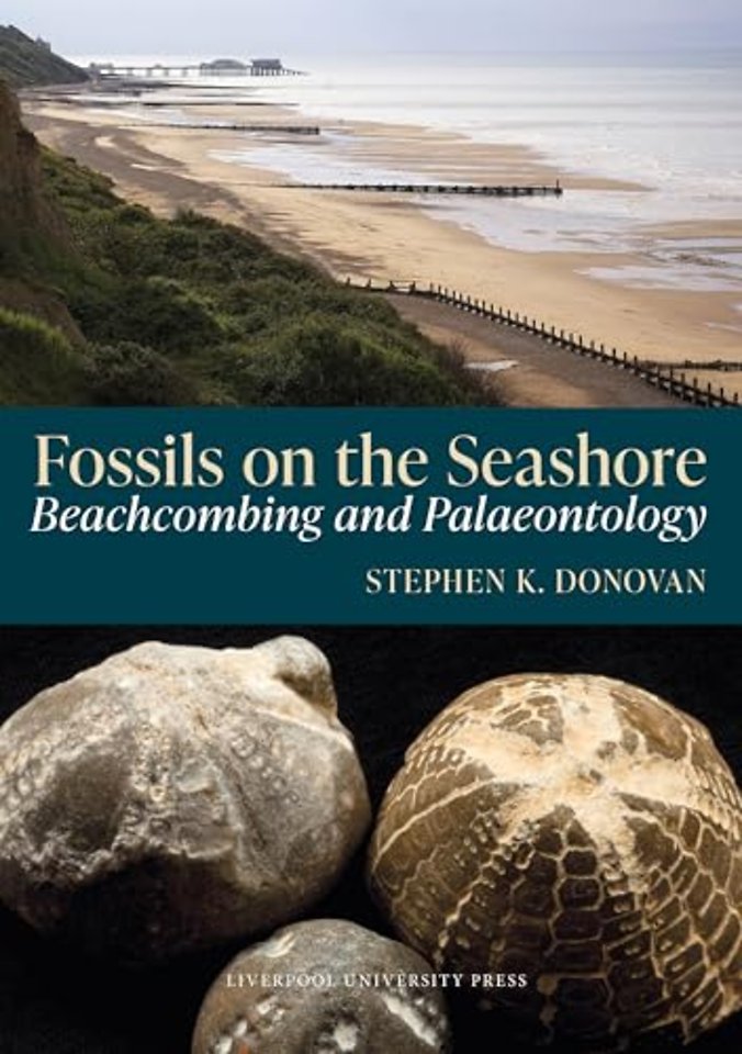 Fossils on the Seashore