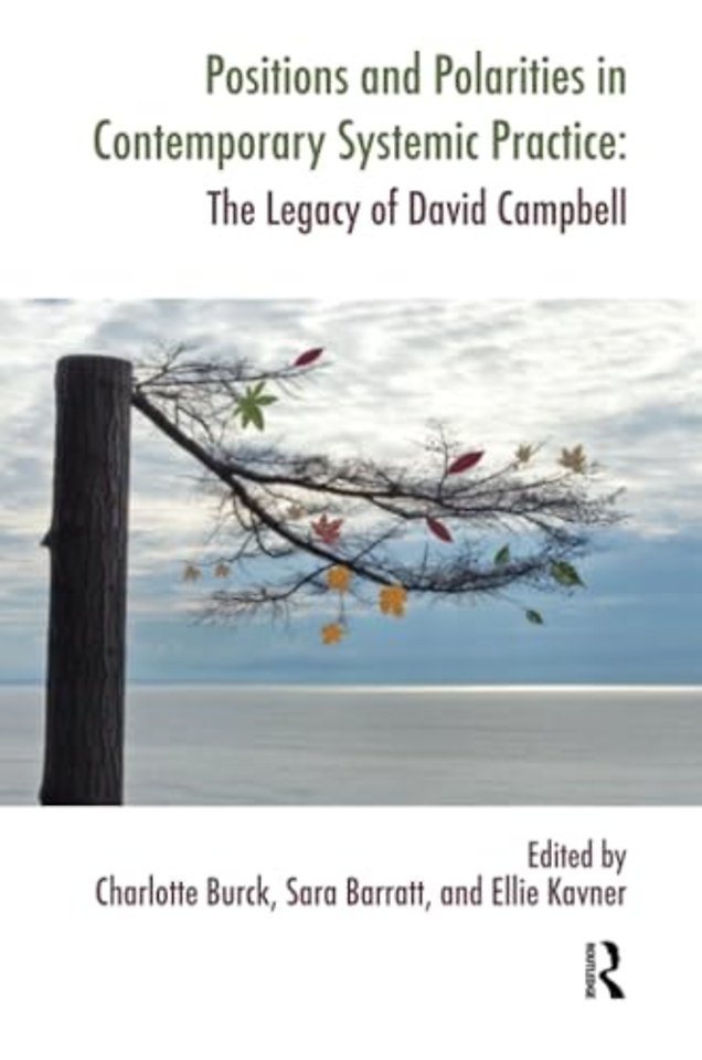 Systemic Thinking and Practice Series