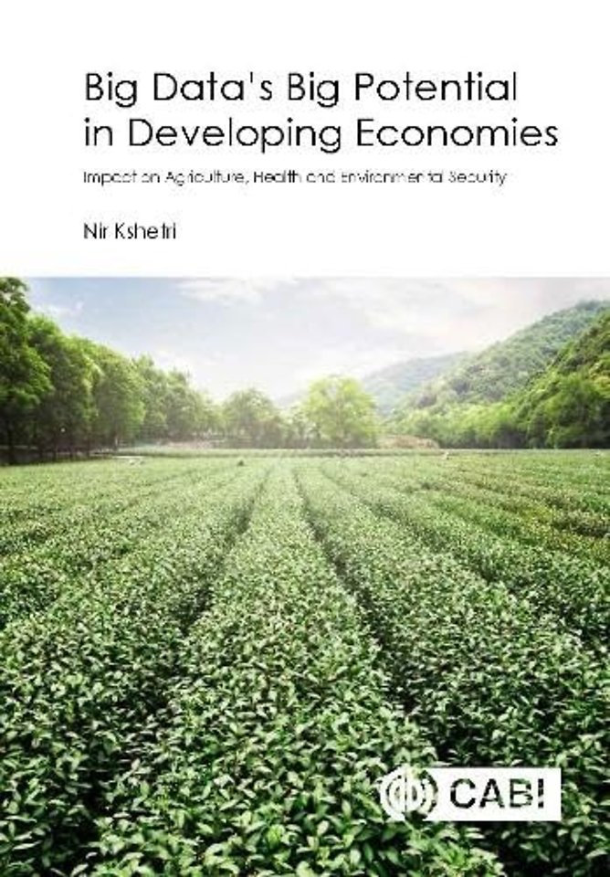Big Data’s Big Potential in Developing Economies