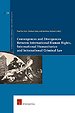 Convergences and Divergences Between International Human Rights Law, International Criminal Law and International Humanitarian Law