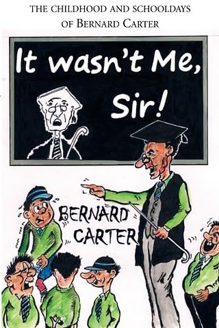 It Wasn't Me Sir!