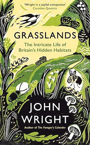 Grasslands