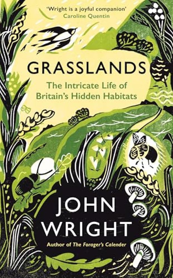 Grasslands