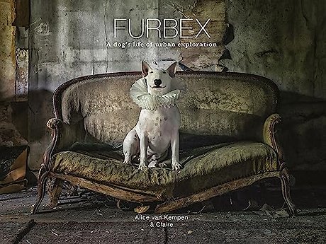 Furbex – A Dog′s Life of Urban Exploration