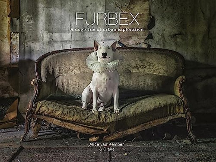 Furbex – A Dog′s Life of Urban Exploration
