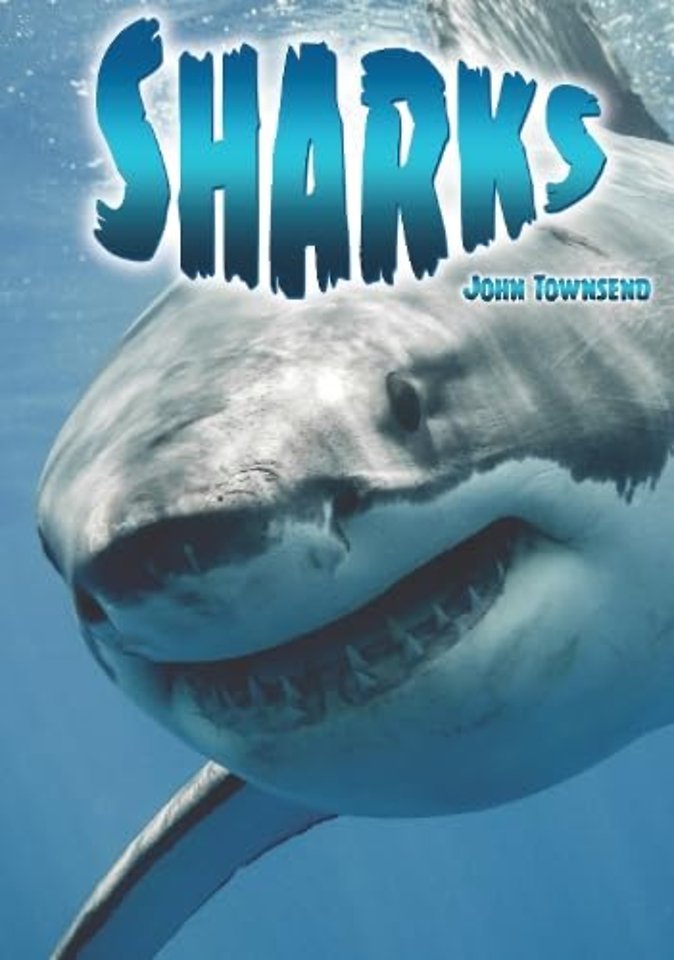 Sharks
