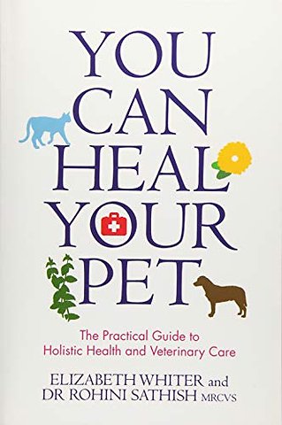 You Can Heal Your Pet