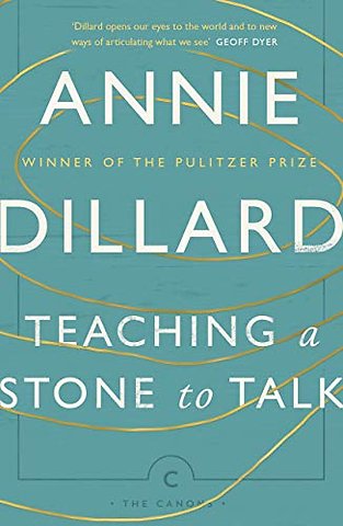 Teaching a Stone to Talk