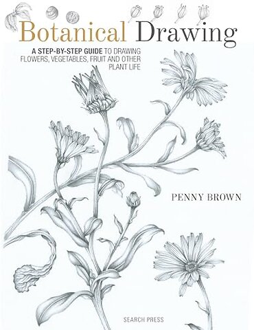 Botanical Drawing