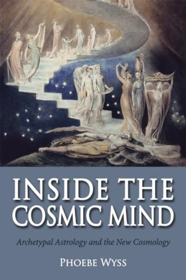 Inside the Cosmic Mind