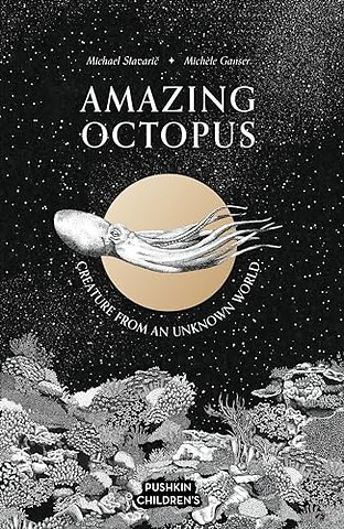 Amazing Octopus