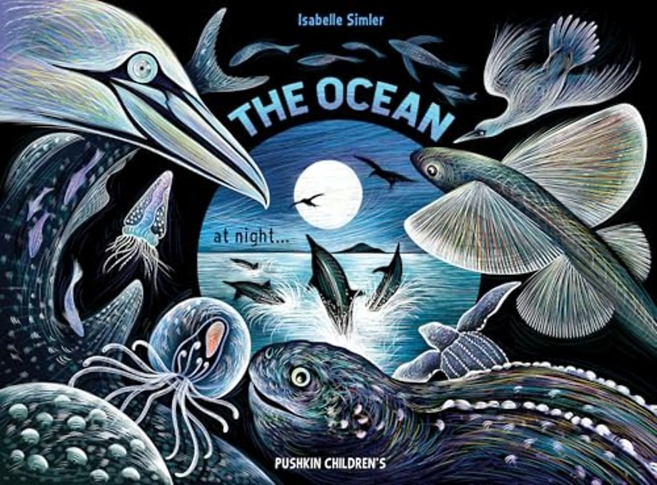 The Ocean at Night