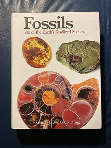 Fossils