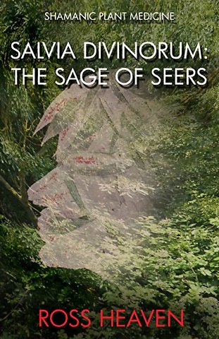 Shamanic Plant Medicine – Salvia Divinorum: The Sage of the Seers