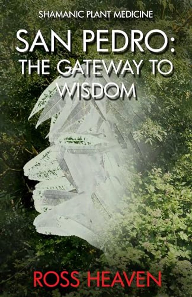 Shamanic Plant Medicine – San Pedro: The Gateway to Wisdom