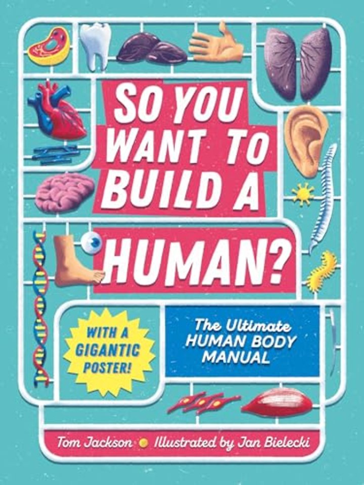 So You Want to Build a Human?