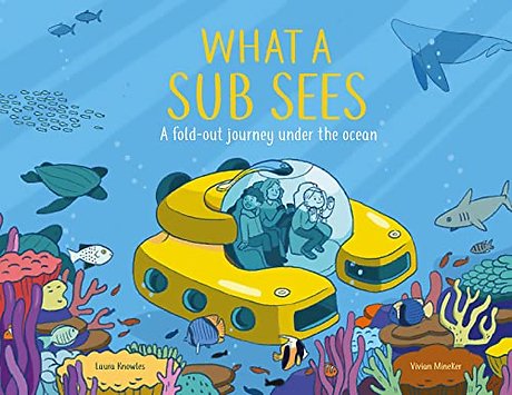 What a Submarine Sees