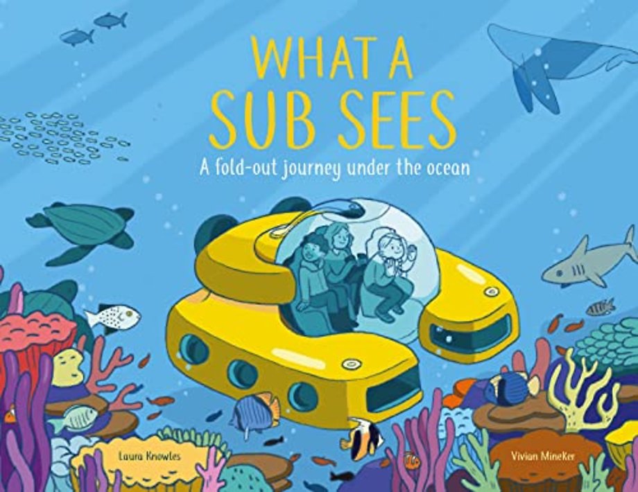 What a Submarine Sees
