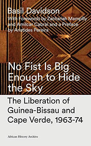 No Fist Is Big Enough to Hide the Sky
