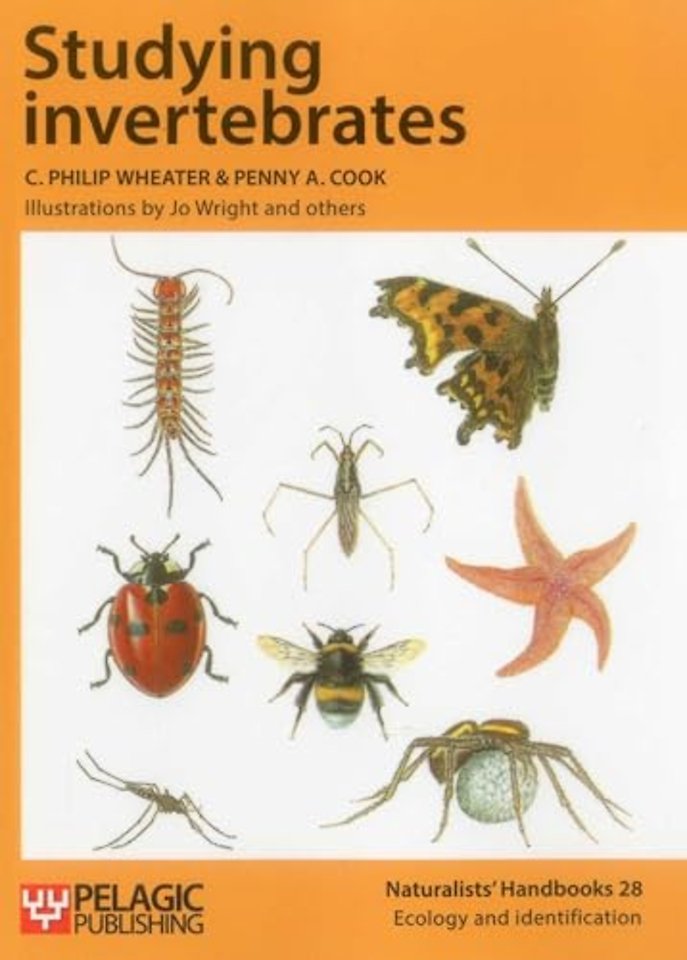 Studying Invertebrates