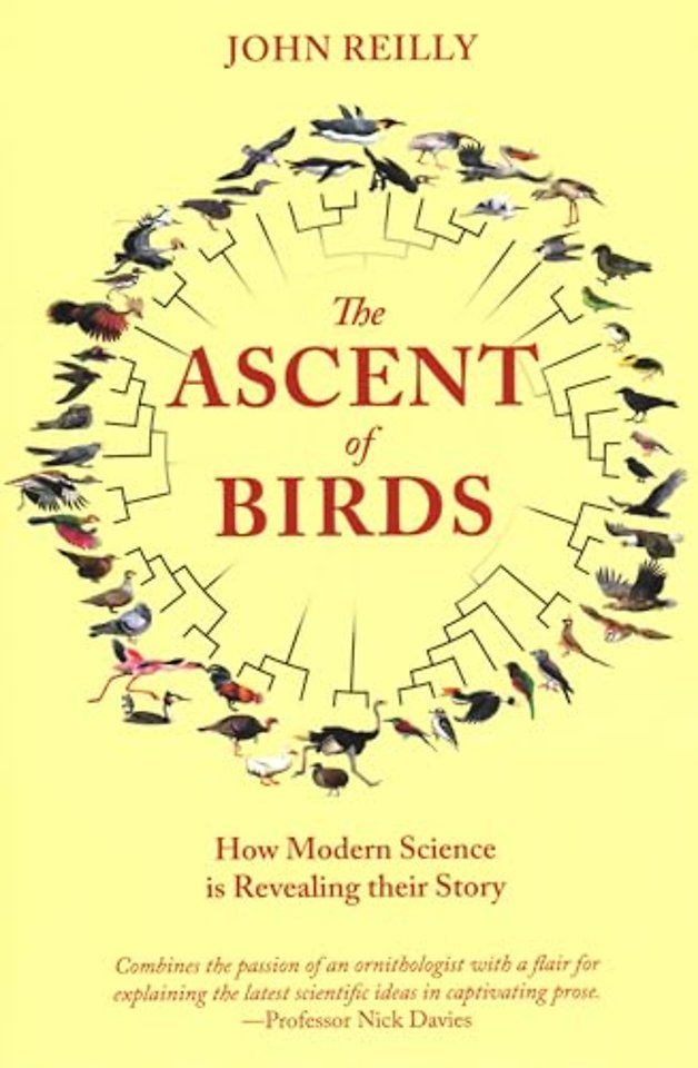 The Ascent of Birds
