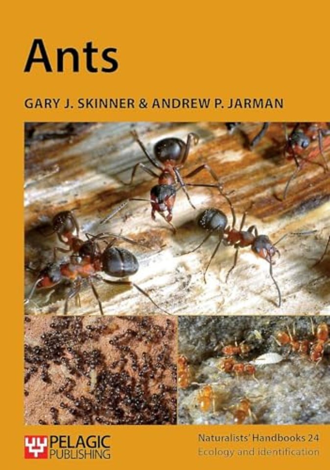 Ants