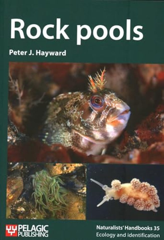 Rock pools