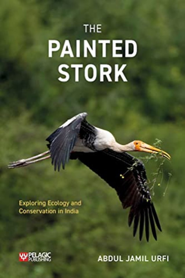 The Painted Stork