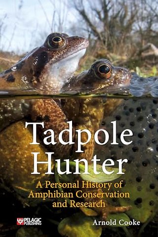 Tadpole Hunter