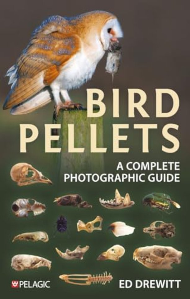 Bird Pellets