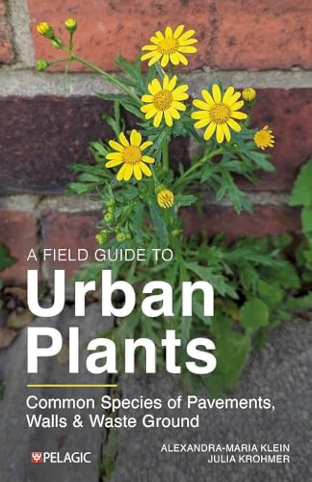 A Field Guide to Urban Plants