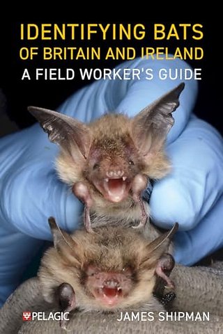 Identifying Bats of Britain and Ireland