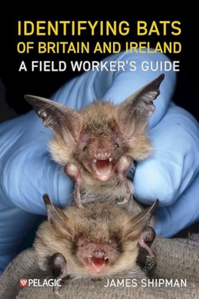 Identifying Bats of Britain and Ireland