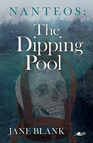 Nanteos: The Dipping Pool