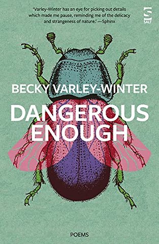 Dangerous Enough