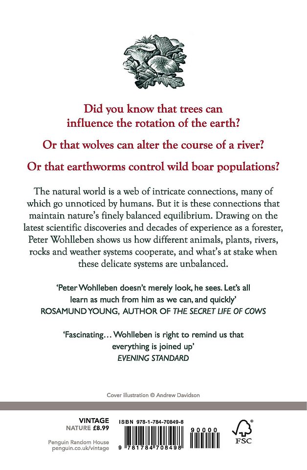 The Secret Network of Nature