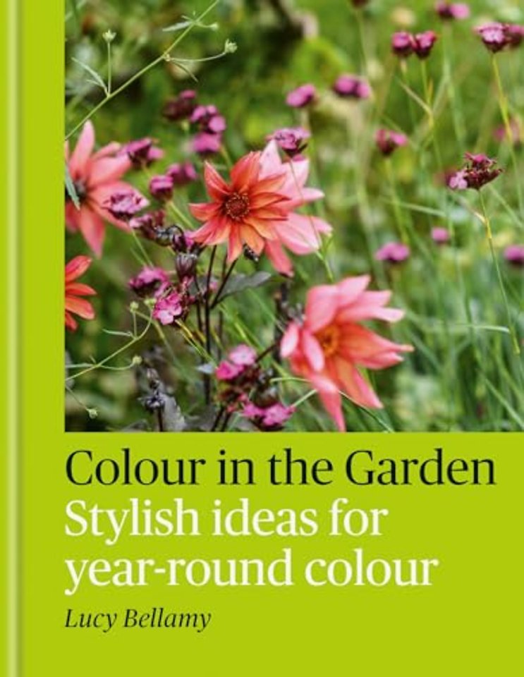 Colour in the Garden