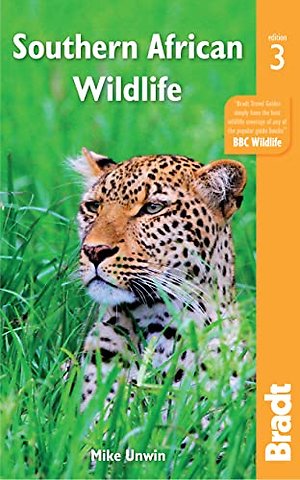Southern African Wildlife