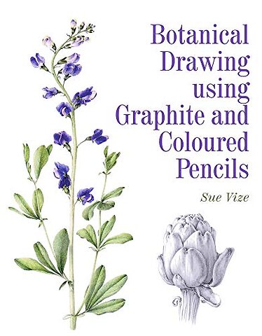 Botanical Drawing using Graphite and Coloured Pencils