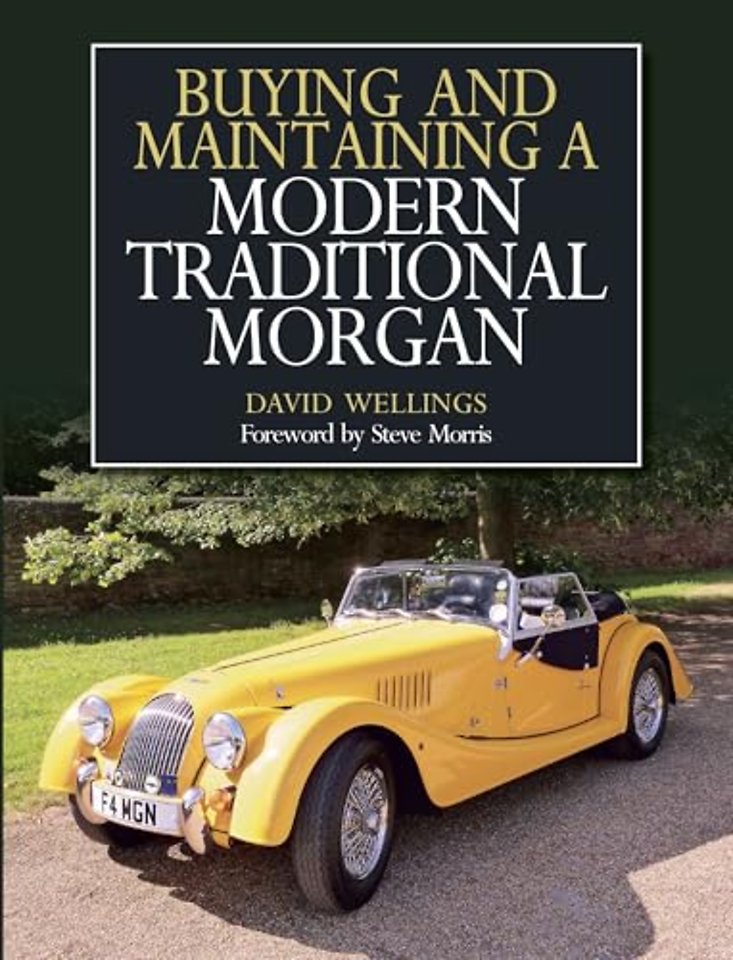 Buying and Maintaining a Modern Traditional Morgan