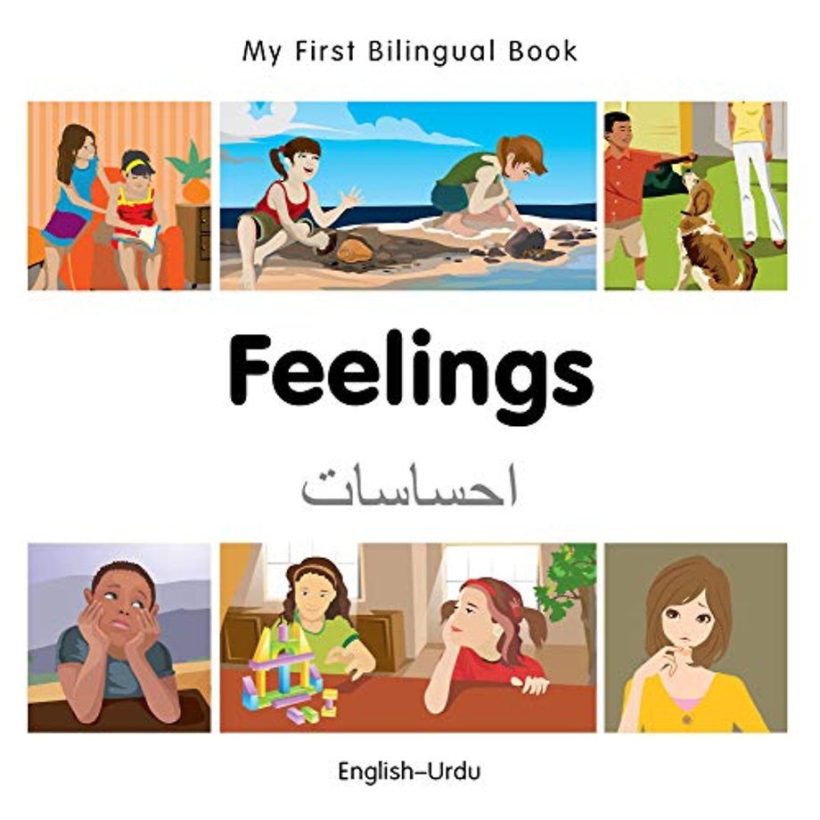 My First Bilingual Book -  Feelings (English-Urdu)