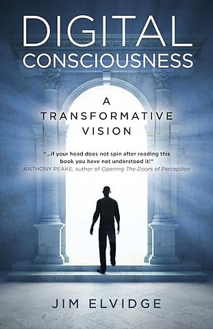 Digital Consciousness