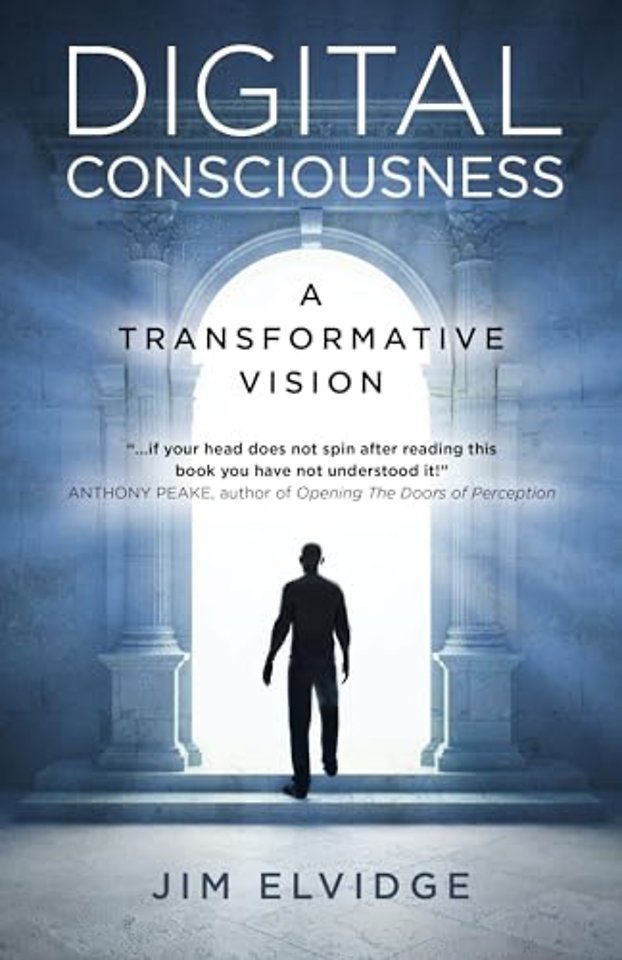 Digital Consciousness