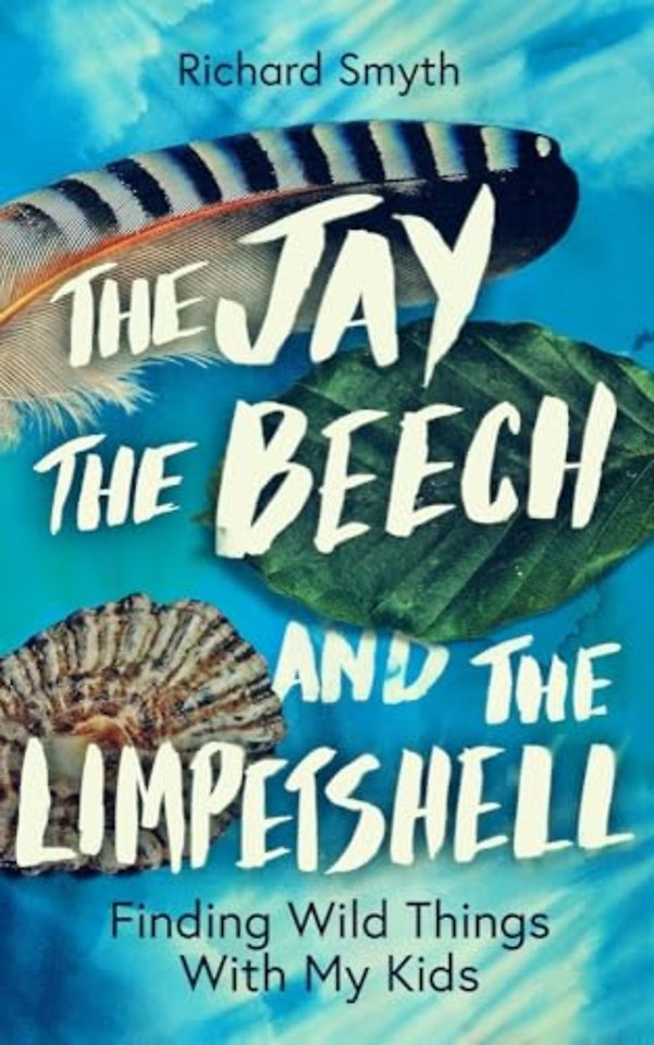 The Jay, The Beech and the Limpetshell