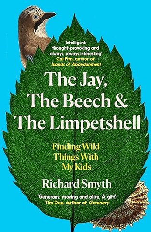 The Jay, The Beech and the Limpetshell