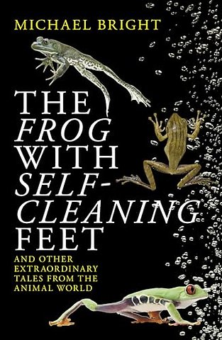 The Frog with Self-Cleaning Feet